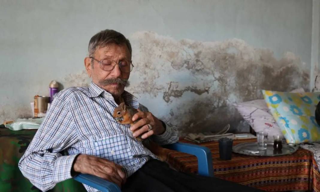 Adana’da Hasan Amca’nın Tek Yoldaşı Sincap Dostu Oldu! 1